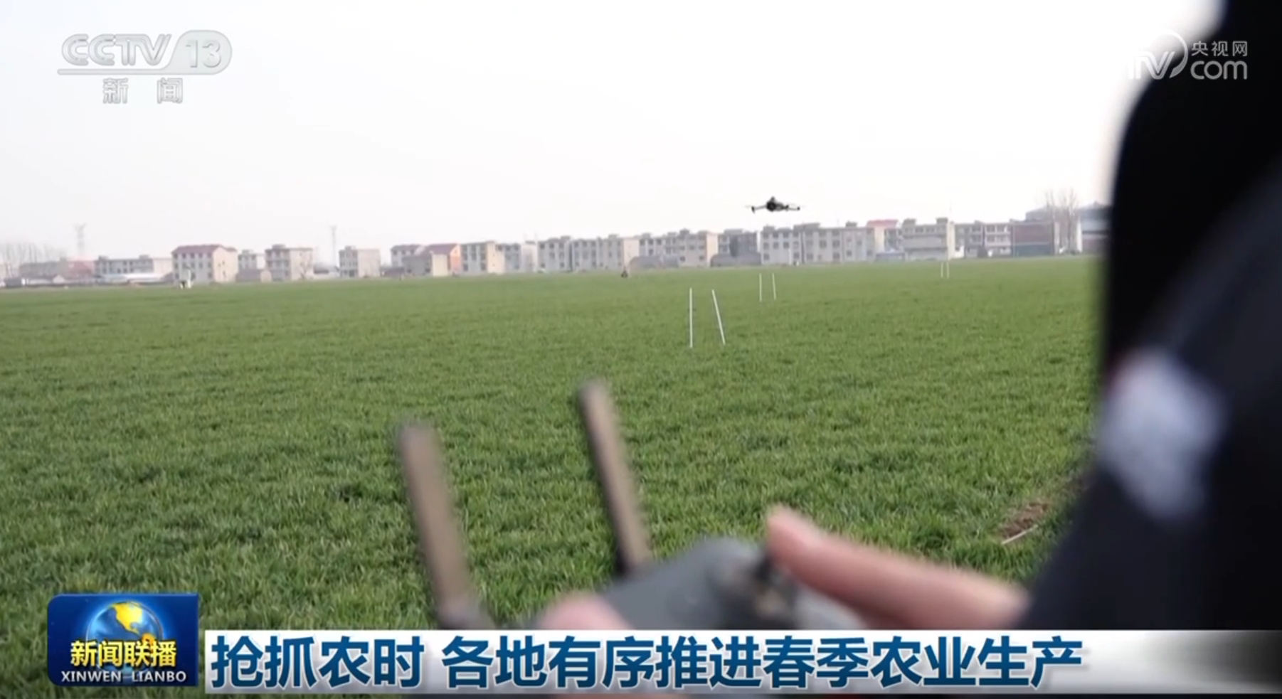 学校以及教