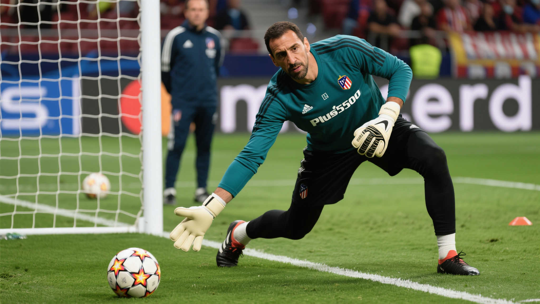 人们广泛关 人们广泛关